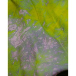 Hedvábný šátek Linz, 140x90 cm